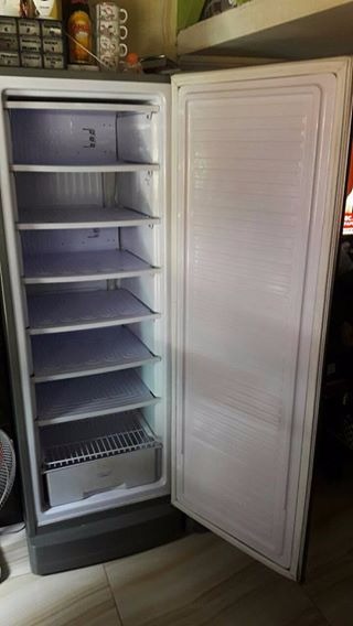 upright freezer (condura) photo